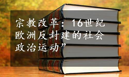 宗教改革：16世纪欧洲反封建的社会政治运动”