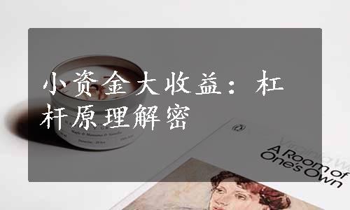 小资金大收益：杠杆原理解密
