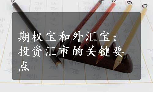 期权宝和外汇宝：投资汇市的关键要点