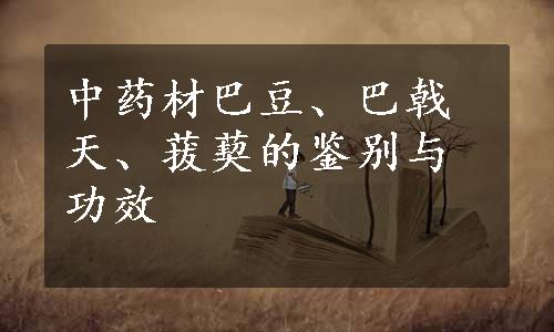 中药材巴豆、巴戟天、菝葜的鉴别与功效