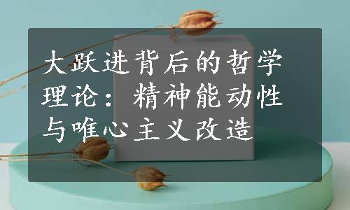大跃进背后的哲学理论：精神能动性与唯心主义改造