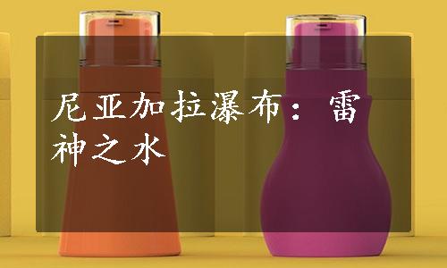 尼亚加拉瀑布：雷神之水