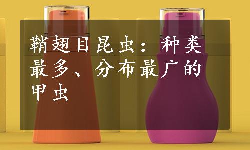 鞘翅目昆虫：种类最多、分布最广的甲虫