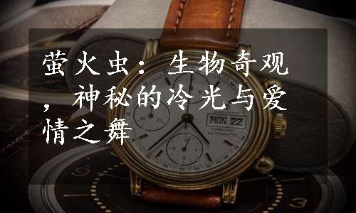 萤火虫：生物奇观，神秘的冷光与爱情之舞