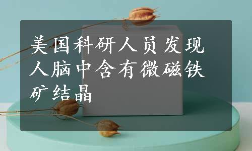 美国科研人员发现人脑中含有微磁铁矿结晶