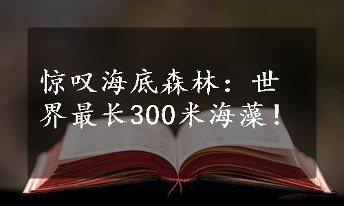 惊叹海底森林：世界最长300米海藻！