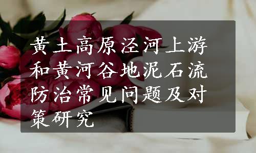 黄土高原泾河上游和黄河谷地泥石流防治常见问题及对策研究