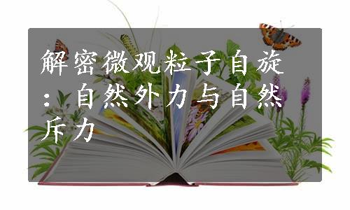 解密微观粒子自旋：自然外力与自然斥力
