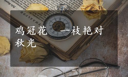 鸡冠花　一枝艳对秋光