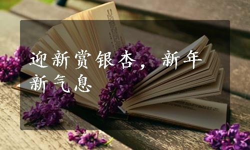 迎新赏银杏，新年新气息