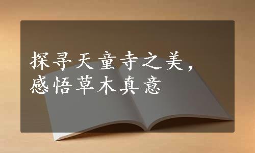 探寻天童寺之美，感悟草木真意