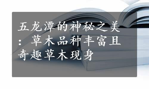 五龙潭的神秘之美：草木品种丰富且奇趣草木现身