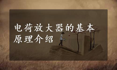 电荷放大器的基本原理介绍