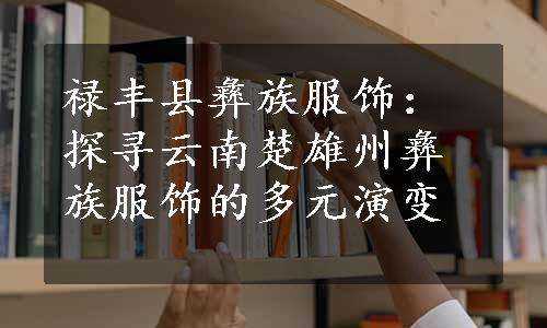 禄丰县彝族服饰：探寻云南楚雄州彝族服饰的多元演变