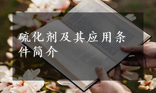 硫化剂及其应用条件简介
