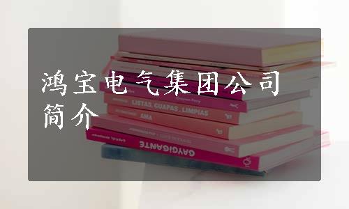 鸿宝电气集团公司简介