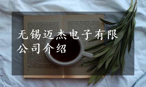 无锡迈杰电子有限公司介绍