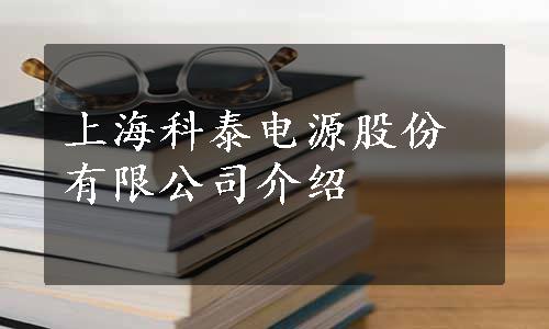 上海科泰电源股份有限公司介绍