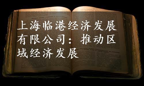上海临港经济发展有限公司：推动区域经济发展
