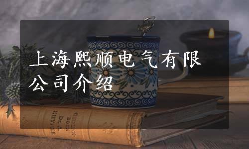 上海熙顺电气有限公司介绍
