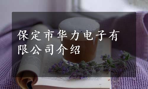 保定市华力电子有限公司介绍