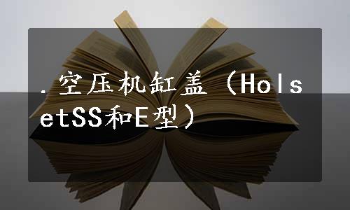 .空压机缸盖（HolsetSS和E型）