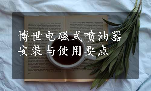 博世电磁式喷油器安装与使用要点