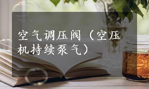 空气调压阀（空压机持续泵气）