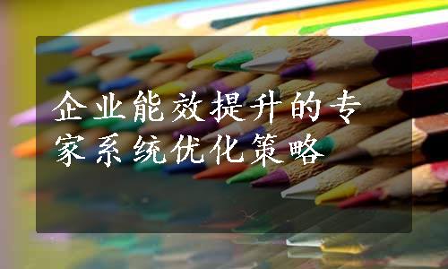 企业能效提升的专家系统优化策略
