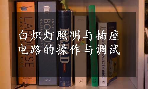 白炽灯照明与插座电路的操作与调试