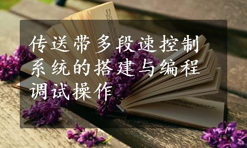 传送带多段速控制系统的搭建与编程调试操作