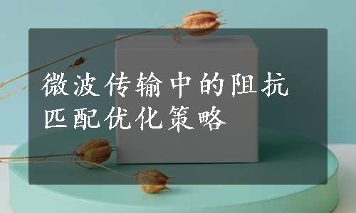 微波传输中的阻抗匹配优化策略