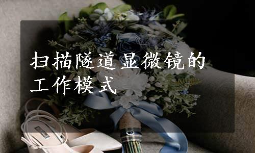 扫描隧道显微镜的工作模式