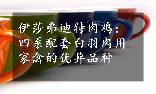 伊莎弗迪特肉鸡：四系配套白羽肉用家禽的优异品种