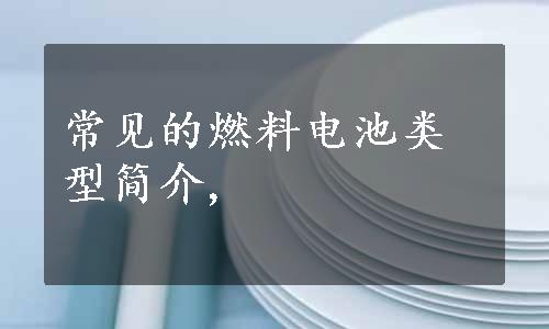 常见的燃料电池类型简介,