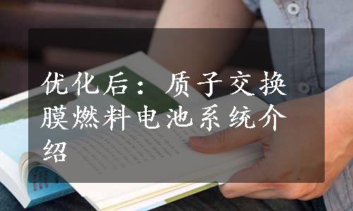 优化后：质子交换膜燃料电池系统介绍