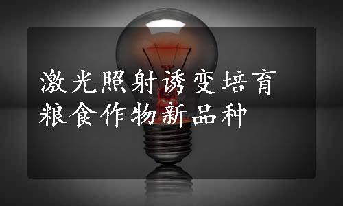 激光照射诱变培育粮食作物新品种