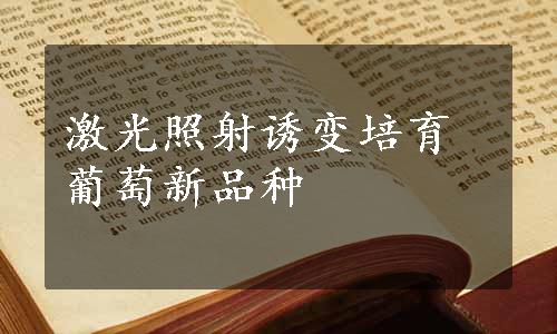 激光照射诱变培育葡萄新品种