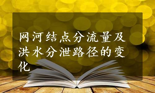 网河结点分流量及洪水分泄路径的变化