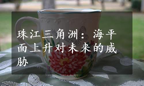 珠江三角洲：海平面上升对未来的威胁