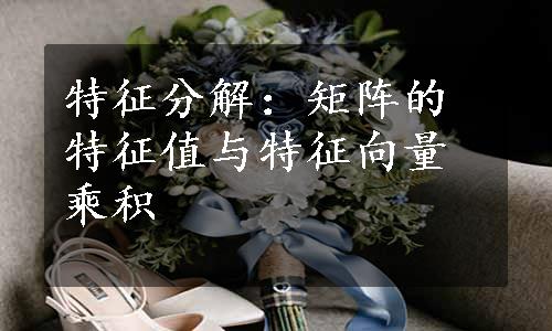 特征分解：矩阵的特征值与特征向量乘积