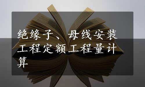 绝缘子、母线安装工程定额工程量计算