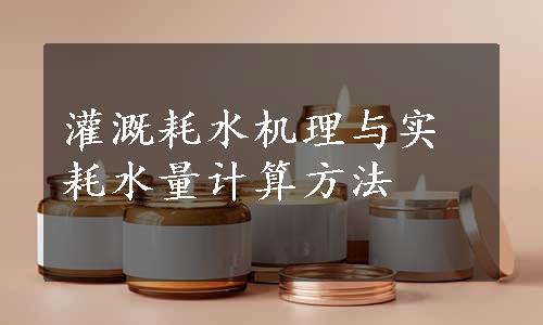 灌溉耗水机理与实耗水量计算方法