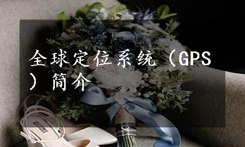 全球定位系统（GPS）简介