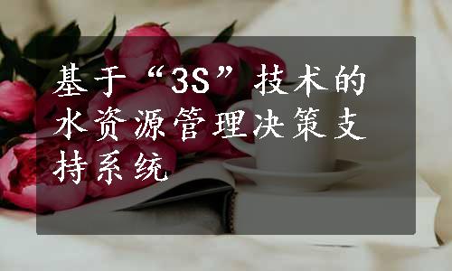 基于“3S”技术的水资源管理决策支持系统
