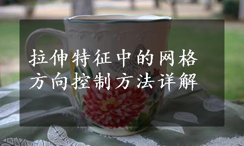 拉伸特征中的网格方向控制方法详解