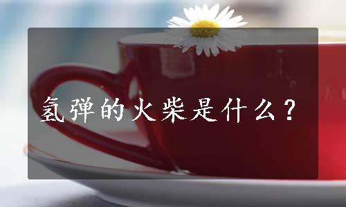 氢弹的火柴是什么？