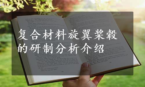 复合材料旋翼桨毂的研制分析介绍