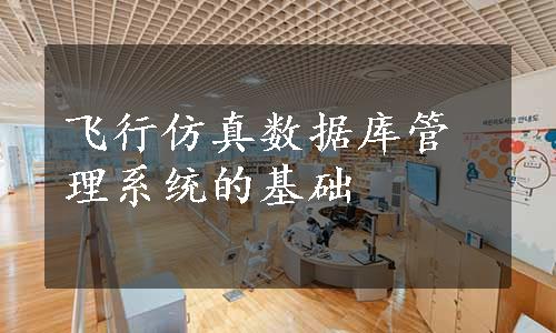 飞行仿真数据库管理系统的基础