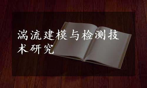 湍流建模与检测技术研究